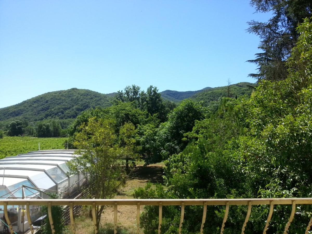 Villa Les Martinets-Piscine-Jacuzzi-Voie Verte-Gorges D'Heric-Massif Du Caroux Mons Olargues 34600 Le Poujol-sur-Orb Zewnętrze zdjęcie